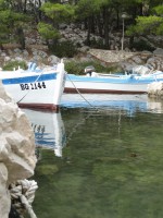 Galerija