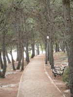 Galerija